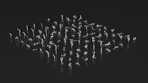 HD People 25 Injured model