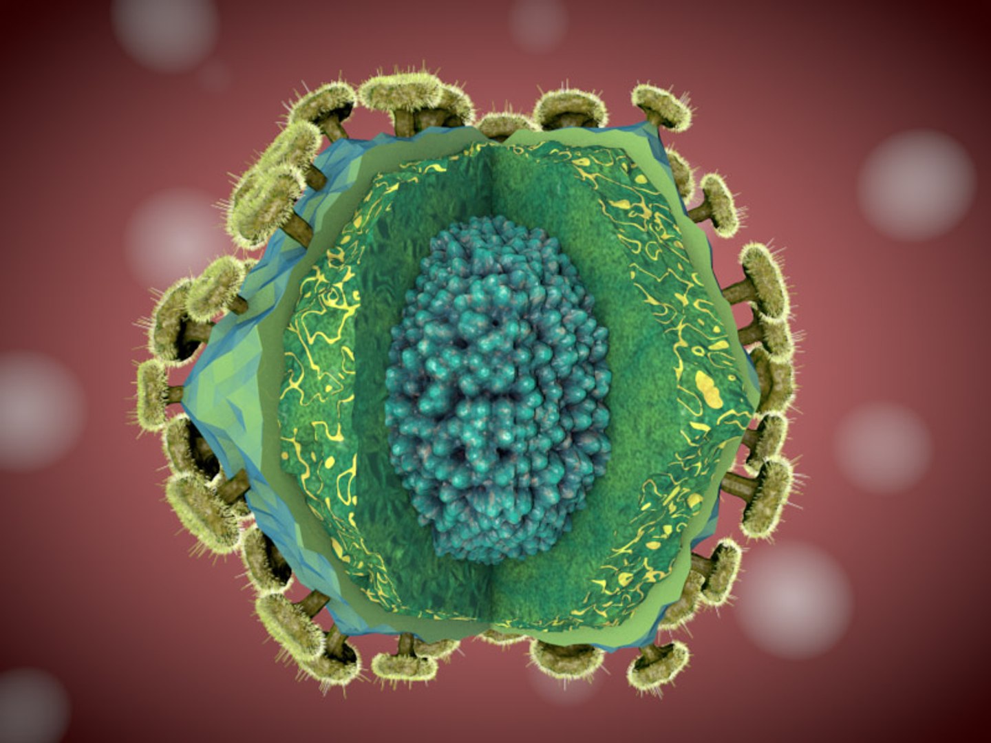 Hiv Virus Cell 3ds