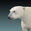 polar bear rigged 3d max