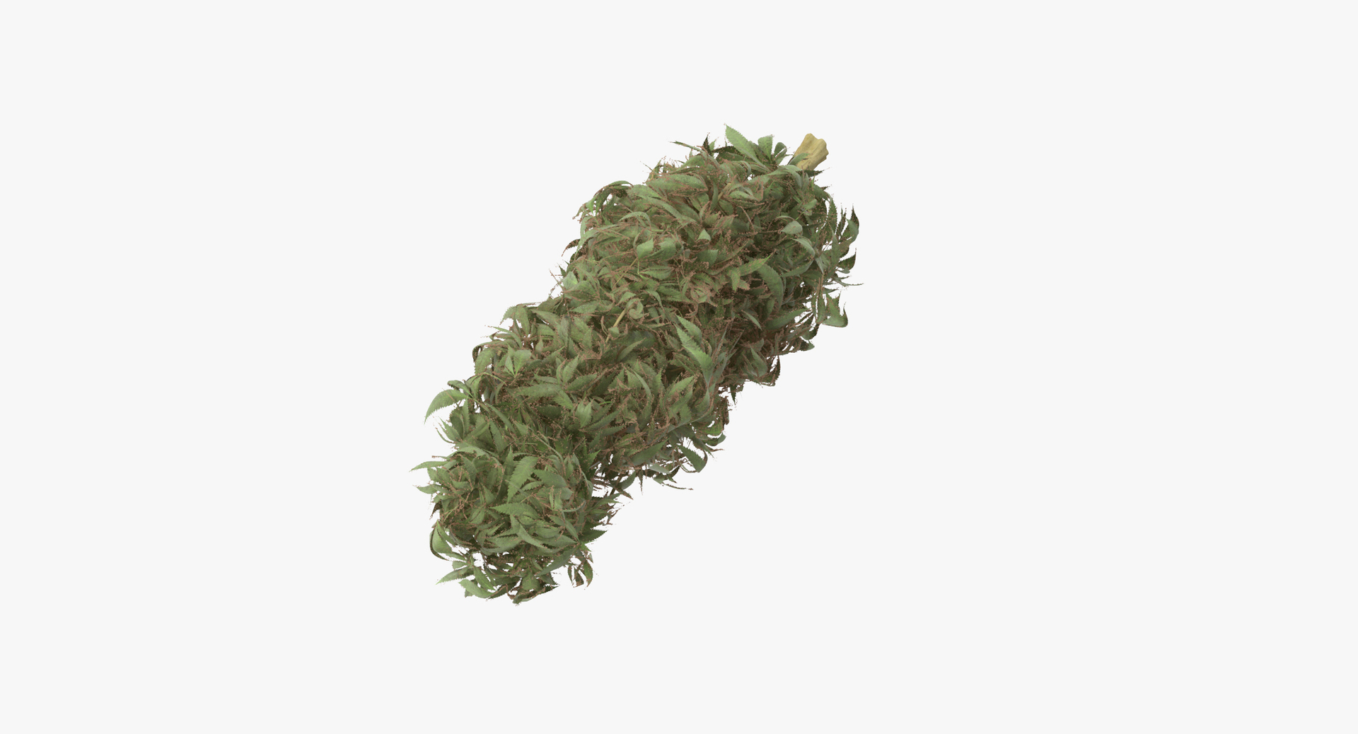 drugs scales marijuana model https://p.turbosquid.com/ts-thumb/3P/O4iXda/GHXoYWnK/0000/jpg/1504169619/1920x1080/turn_fit_q99/0457e528b7f5483d3a65a127d1526629d5564b62/0000-1.jpg
