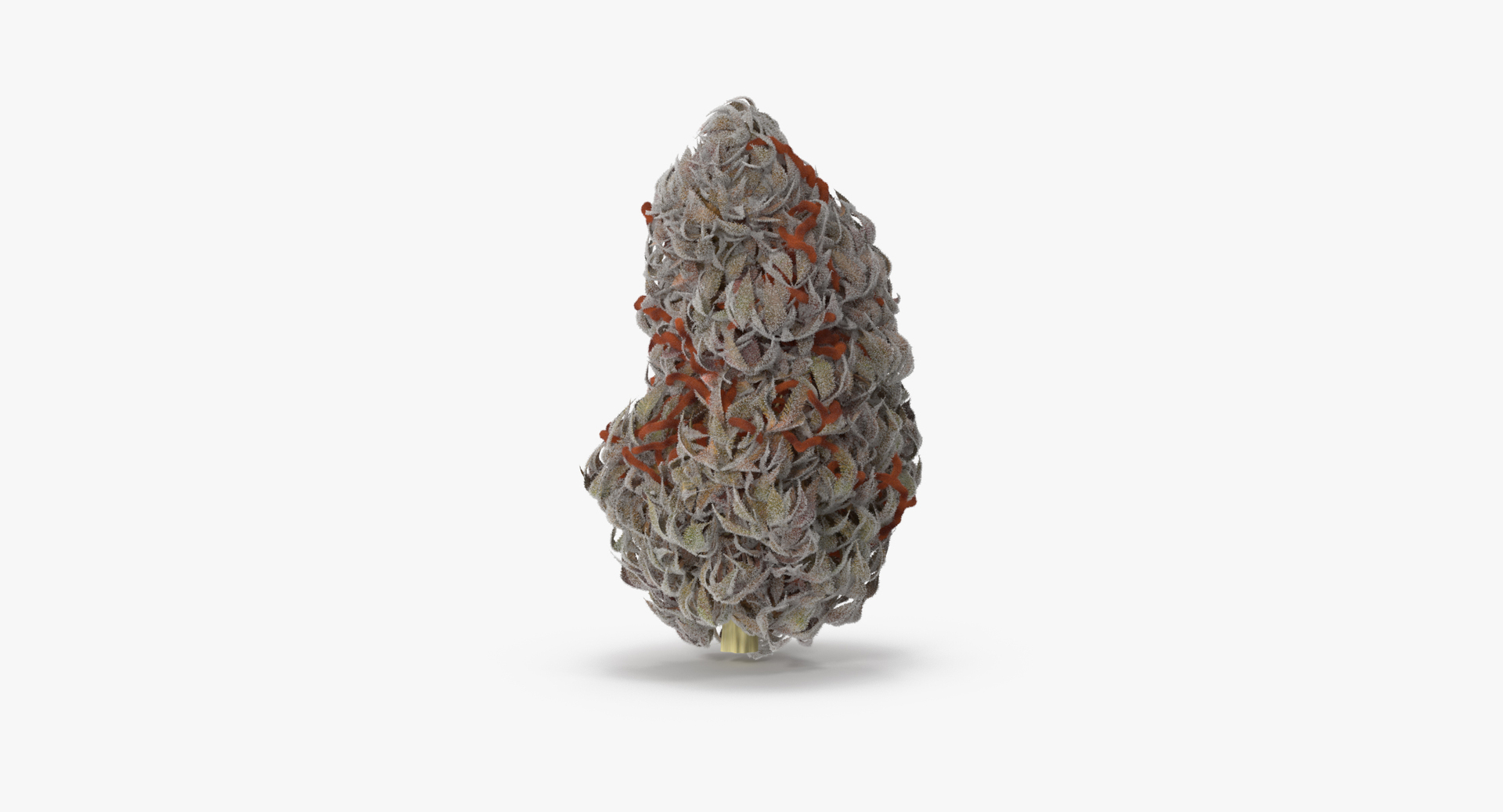 drugs scales marijuana model https://p.turbosquid.com/ts-thumb/3P/O4iXda/XEOomVqq/0000/jpg/1504169952/1920x1080/turn_fit_q99/95c9a4caf7a9cb7f80e4d57b22fc8cbf9373c54e/0000-1.jpg