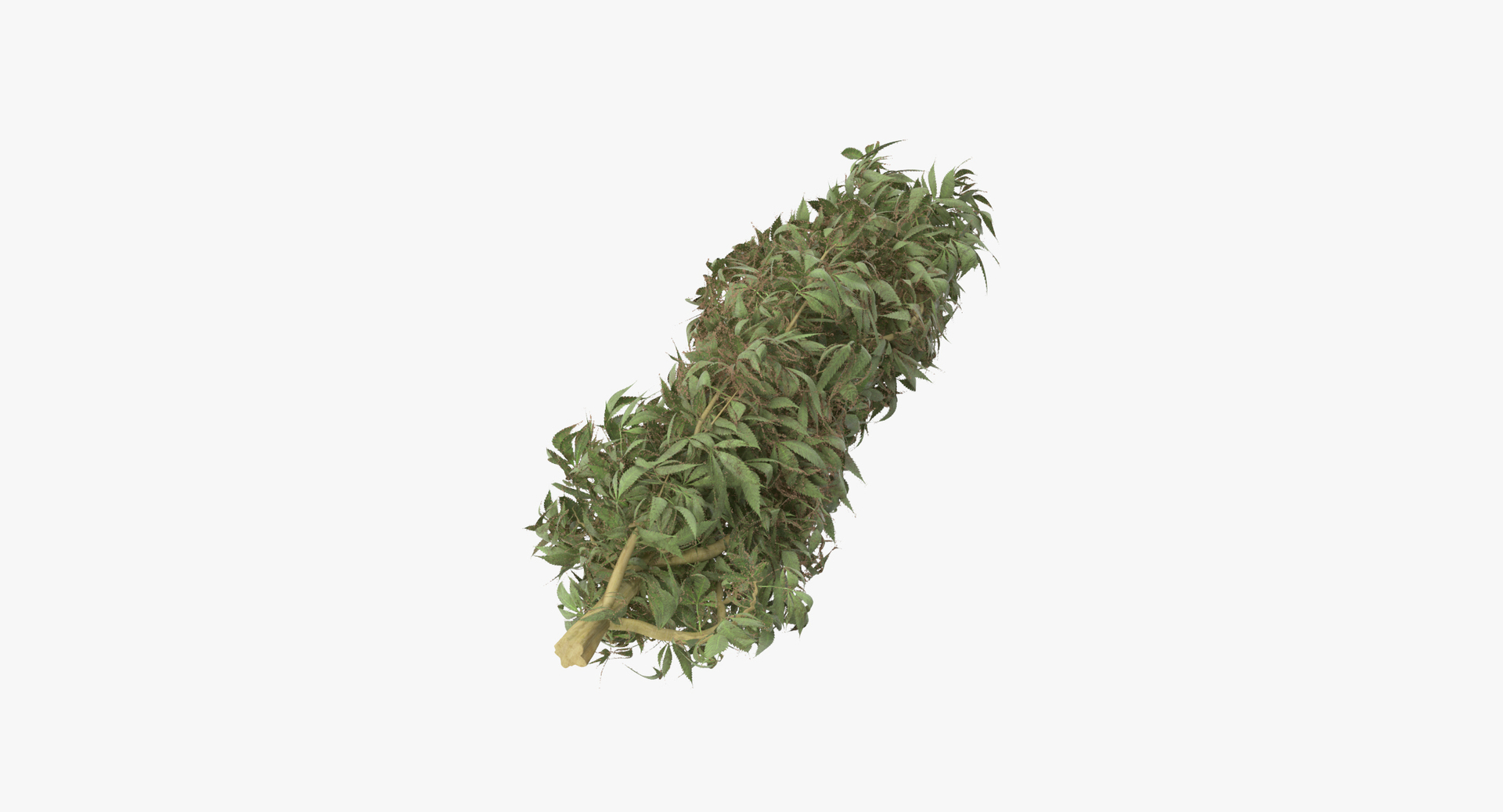drugs scales marijuana model https://p.turbosquid.com/ts-thumb/3P/O4iXda/hWQ4MFNq/0000/jpg/1504169263/1920x1080/turn_fit_q99/4c94a40c6b689f57ab6b0822116d73c21f4252b8/0000-1.jpg
