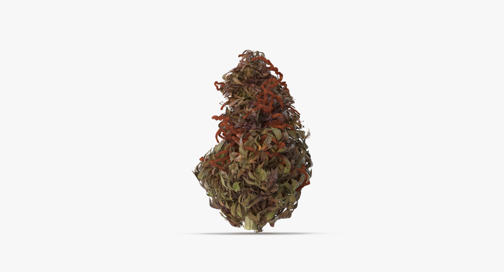 drugs scales marijuana model https://p.turbosquid.com/ts-thumb/3P/O4iXda/qqkrMmfX/0000/jpg/1504178087/1920x1080/turn_fit_q99/038ec7aa1e2539c98eabf26d3e5651f13f2d5039/0000-1.jpg