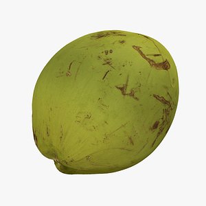 Green Coconut - Extreme Definition 3D Scanned