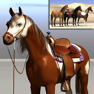 Horse_XL_PF