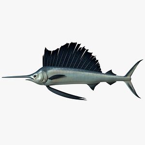 Stylized Sailfish