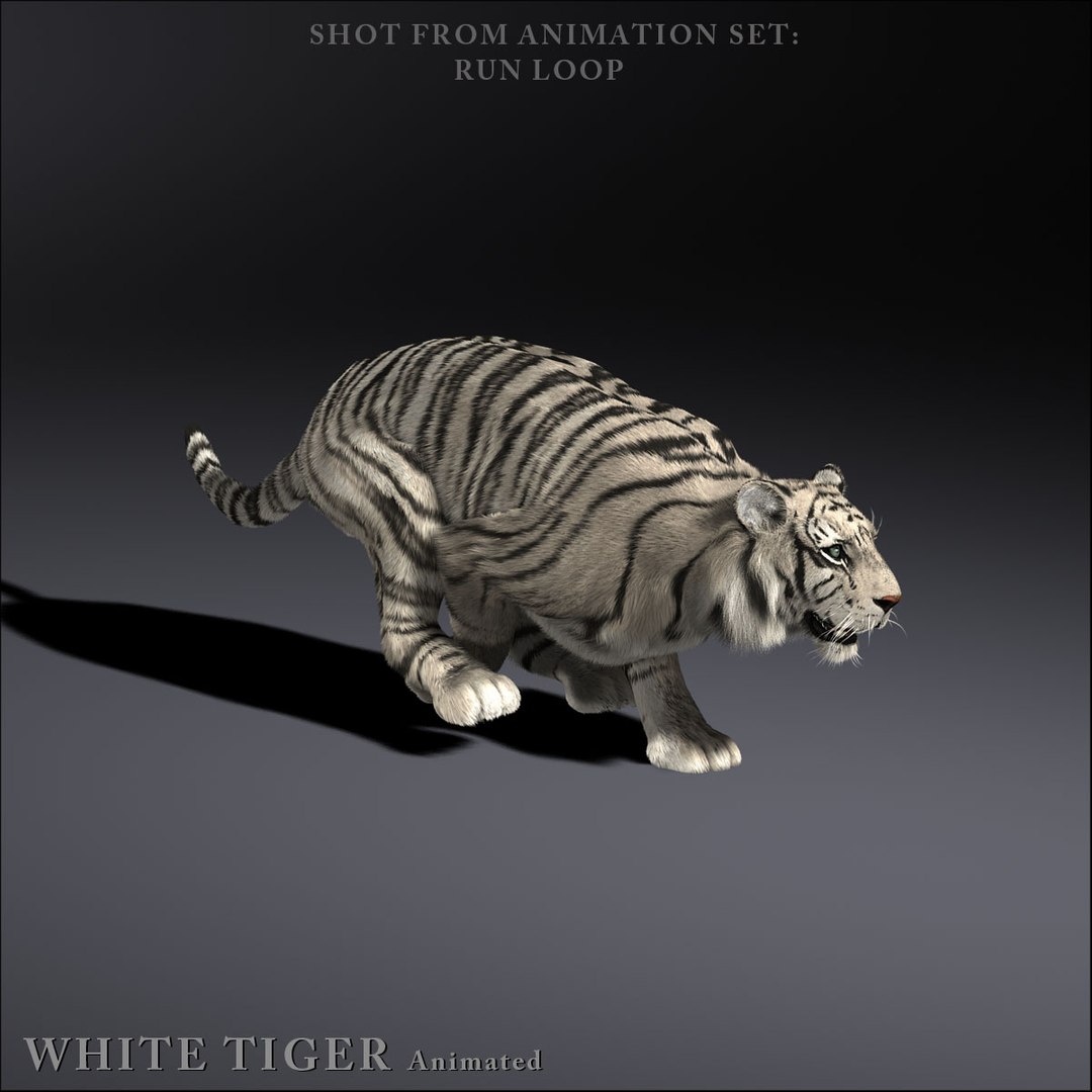 The World's Most Adorable Tiger 3D Rendering · Creative Fabrica