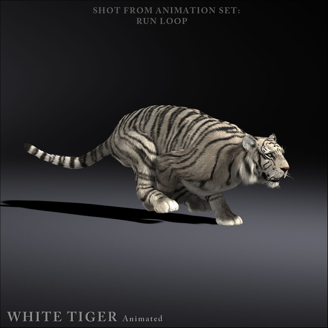 The World's Most Adorable Tiger 3D Rendering · Creative Fabrica