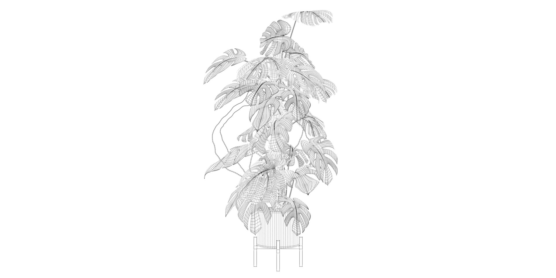 3D Monstera deliciosa 07 https://p.turbosquid.com/ts-thumb/3P/eBXQLF/UG/5/jpg/1663754642/1920x1080/fit_q87/21f22c889386c84b39233f85c561b3d7696ad1c6/5.jpg