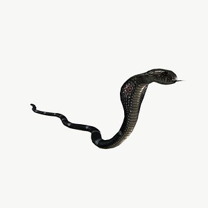 Snake king cobra