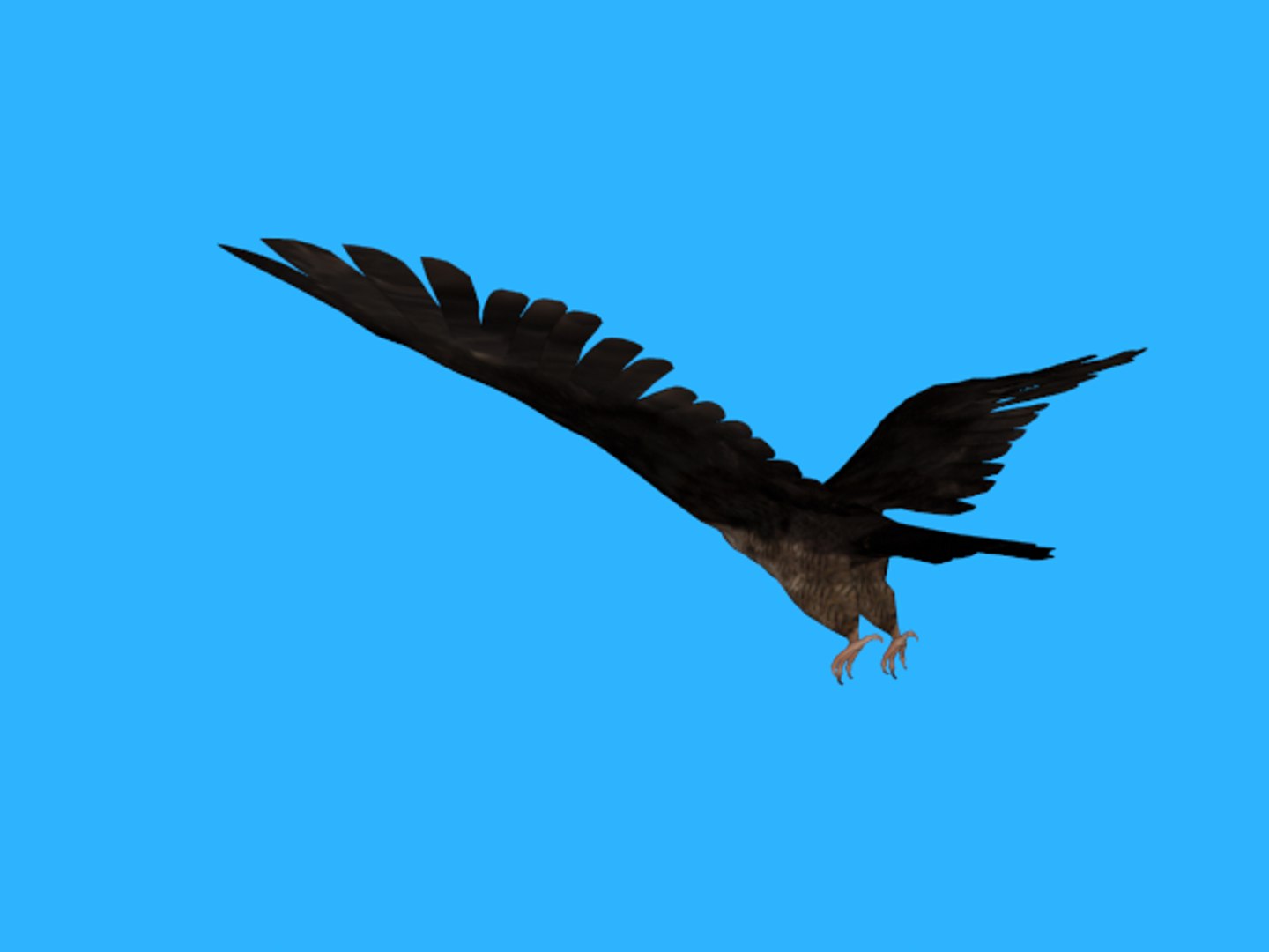 3ds rigged falcon https://p.turbosquid.com/ts-thumb/3Q/MHCIKS/56wyf3DK/8765/png/1489248624/1920x1080/fit_q87/6963f7664d09c97c707f83ed4c059f9628edc493/8765.jpg
