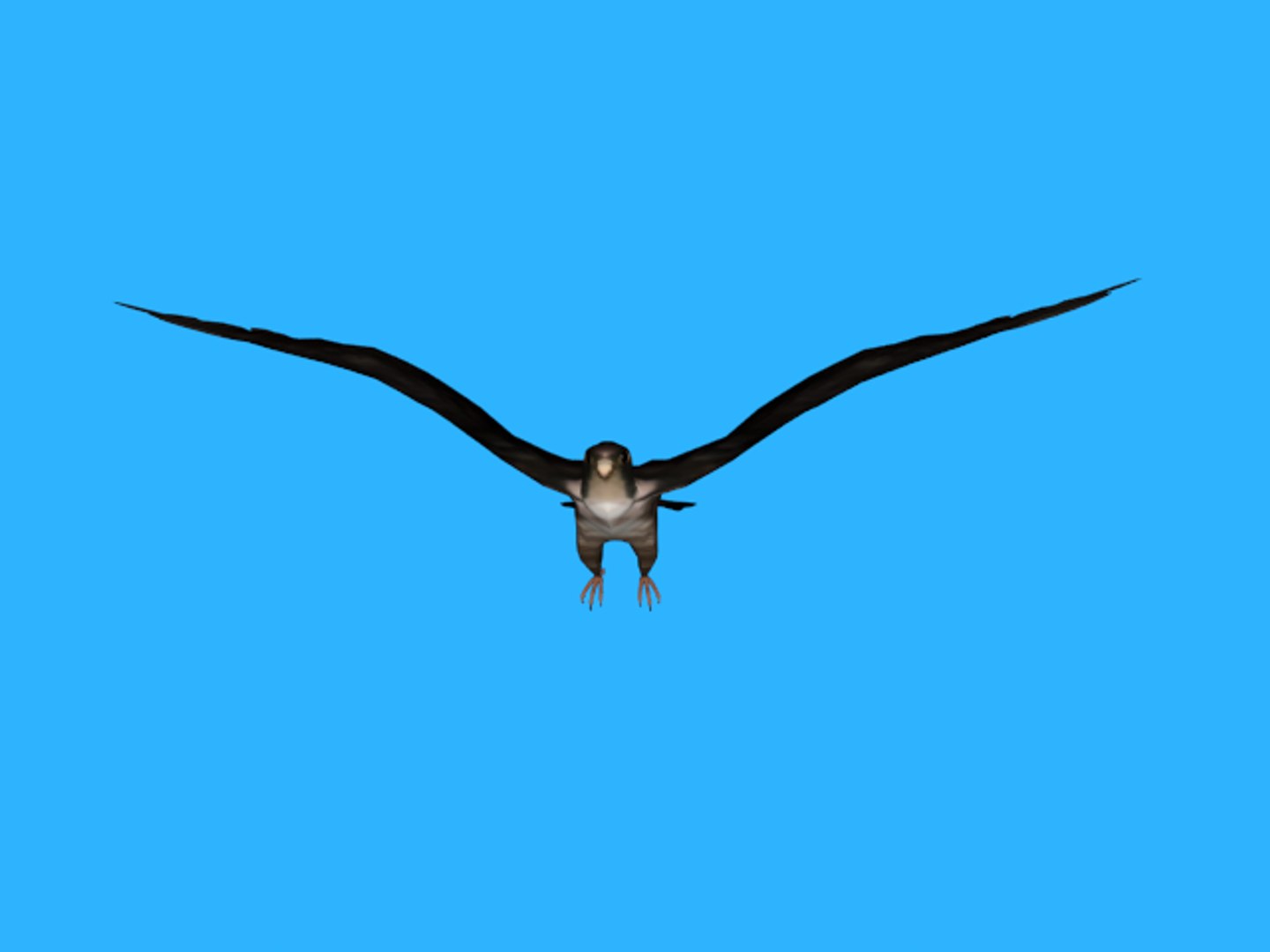 3ds rigged falcon https://p.turbosquid.com/ts-thumb/3Q/MHCIKS/QluD2gxZ/1/png/1489248567/1920x1080/fit_q87/121d72c96a2a6304c828549d9a3d5baf584ff8fb/1.jpg