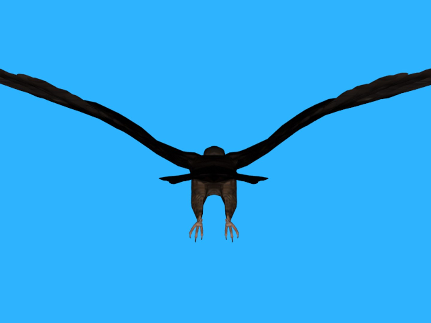 3ds rigged falcon https://p.turbosquid.com/ts-thumb/3Q/MHCIKS/Ts39SAx6/65/png/1489248624/1920x1080/fit_q87/e001f7d317b6831ee7f7bcbc962b9d5c539a0366/65.jpg