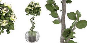 3D Collection plant vol 37 - blender model model