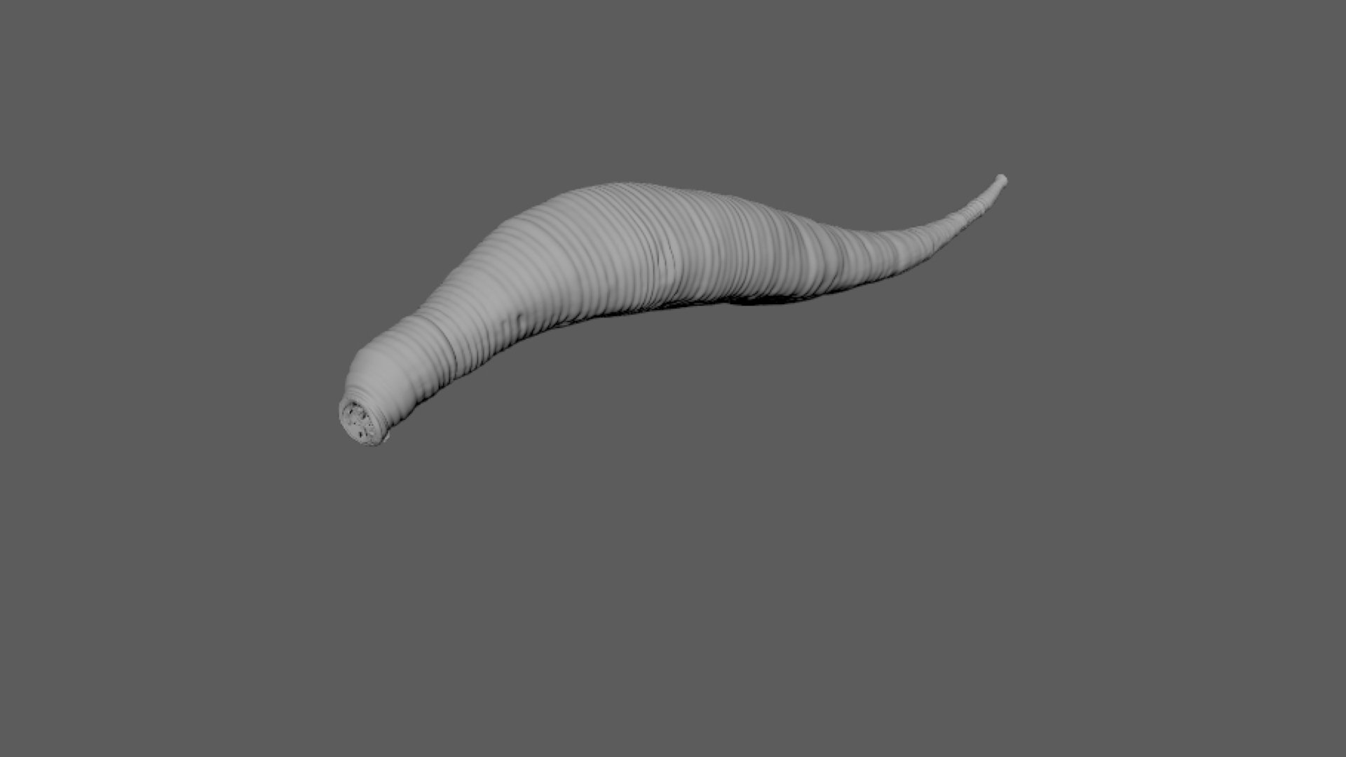 Leech Rigged Animations 3D Model - TurboSquid 1540349