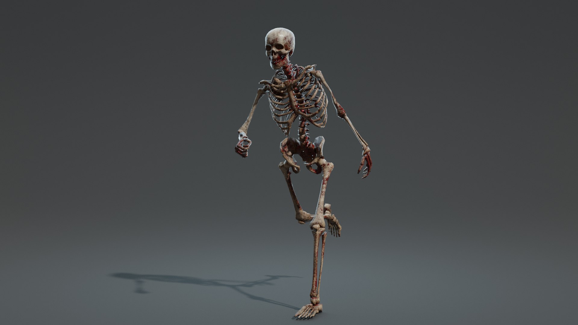 3D Skeleton Mega Pack model https://p.turbosquid.com/ts-thumb/3Q/fSIaRB/8M/skeletonbaserender3/png/1648250637/1920x1080/fit_q87/11f9a9c6c4e88ab23e3535709b11d40ffd2cb1fb/skeletonbaserender3.jpg