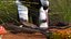 Anteater Eats Termites from Branches Fur