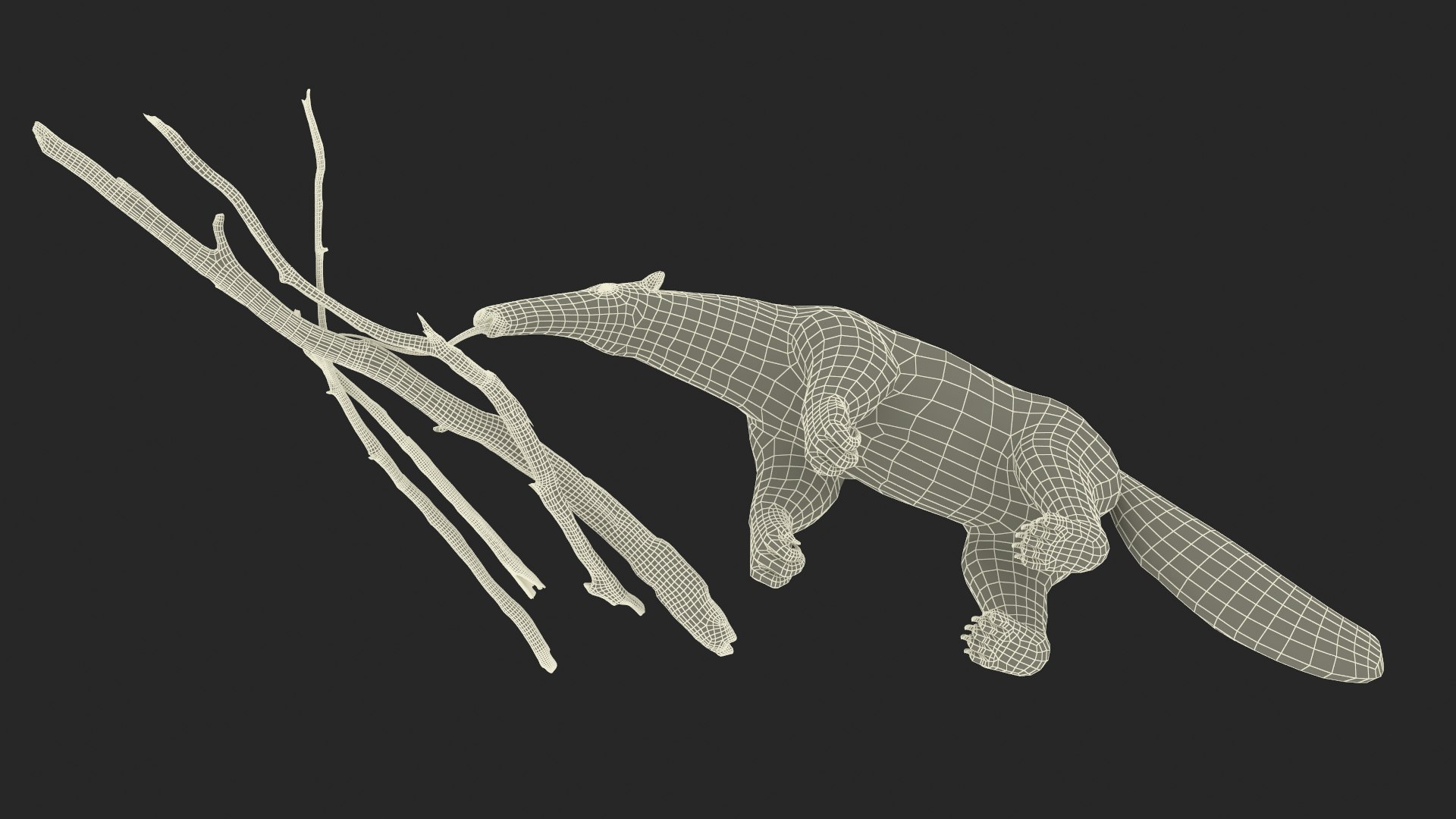 Anteater Eats Termites from Branches Fur 3D https://p.turbosquid.com/ts-thumb/3R/Dud7b5/HM/anteater_eats_termites_from_branches_fur_022/jpg/1736204013/1920x1080/fit_q87/d847298cb219e85a065d4f9d463fa9f67e460183/anteater_eats_termites_from_branches_fur_022.jpg