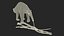 Anteater Eats Termites from Branches Fur