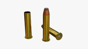 Ammo 45-70