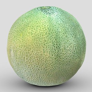Honeydew Melon Low Poly model