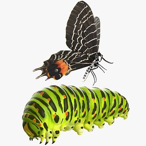 Swallowtail Butterfly and Caterpillar Rigged Collection for Cinema 4D