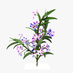 dendrobium flower model