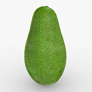 Avocado Scan 3D model