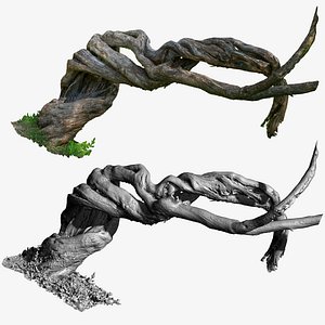 V2 Spiral Cracked Tree Trunk RAW 3D Scan 16k texture