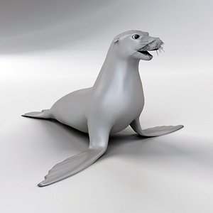 3d model sea seal