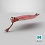 Pink Opabinia