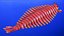 Pink Opabinia