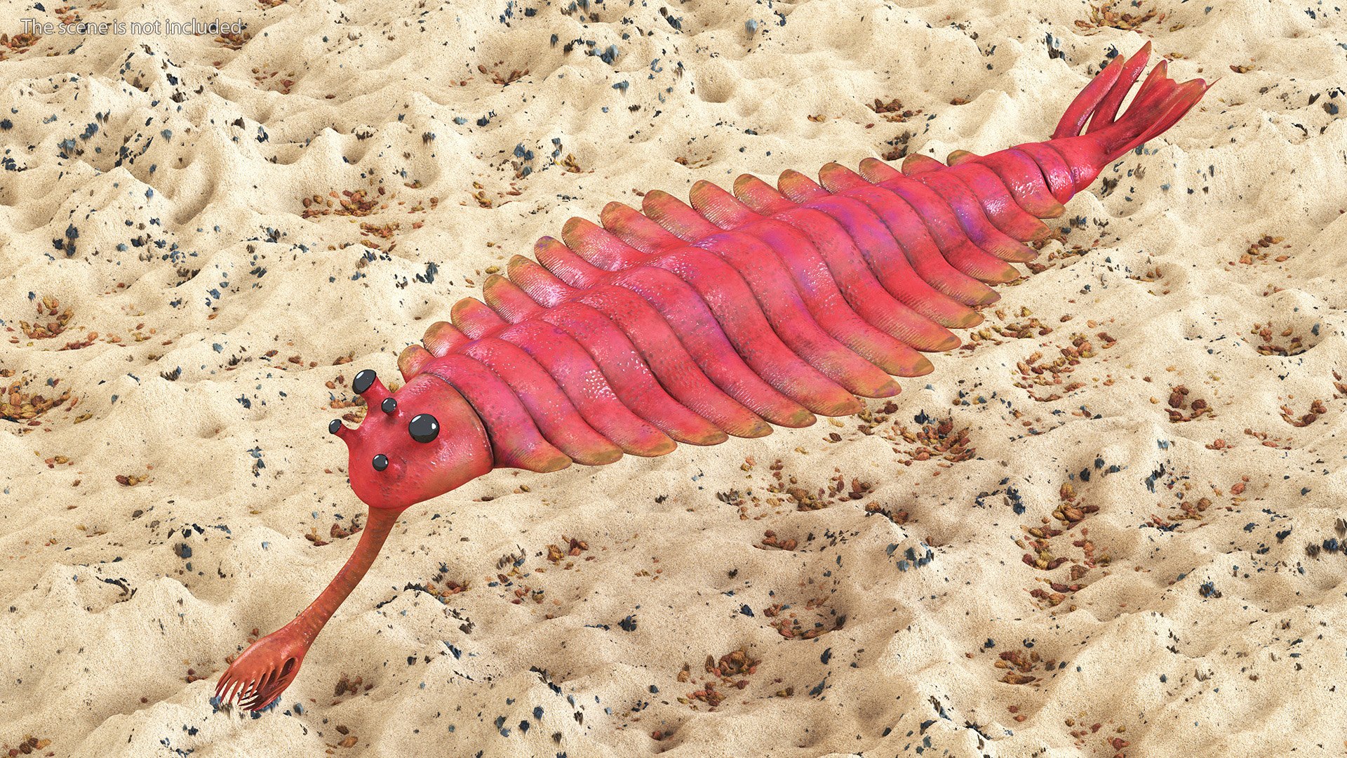 3D Pink Opabinia https://p.turbosquid.com/ts-thumb/3S/cbKx0g/Dt/pinkopabiniavray3dmodel002/jpg/1705376956/1920x1080/fit_q87/f1a2fe15eab9572cbbb2baaf26dd53f262854be5/pinkopabiniavray3dmodel002.jpg