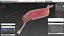 Pink Opabinia