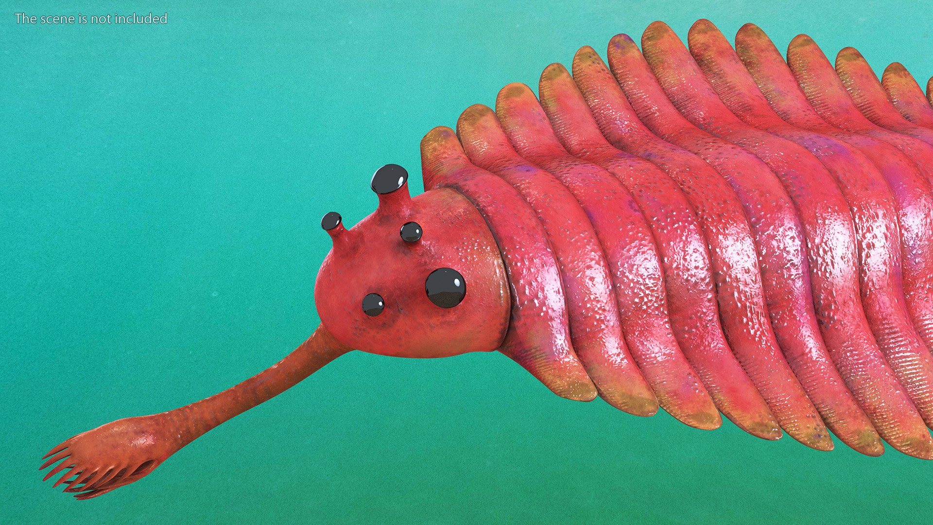 3D Pink Opabinia https://p.turbosquid.com/ts-thumb/3S/cbKx0g/Vv/pinkopabiniavray3dmodel007/jpg/1705376979/1920x1080/fit_q87/85e55e7850593a1347fa408df244b6c4db9fd43c/pinkopabiniavray3dmodel007.jpg