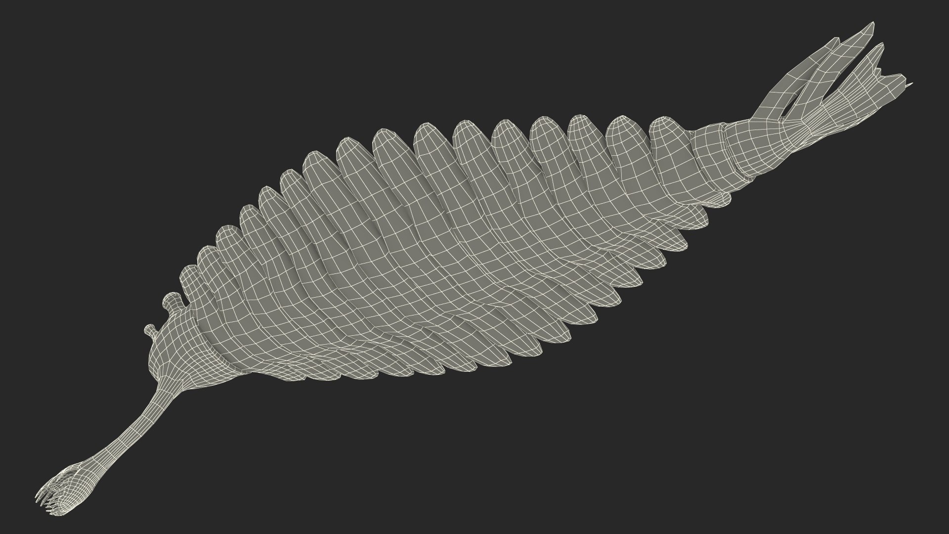 3D Pink Opabinia https://p.turbosquid.com/ts-thumb/3S/cbKx0g/ak/pinkopabiniavray3dmodel031/jpg/1705377083/1920x1080/fit_q87/4f64a3eefc979df4e2614fe592721d7d17e2b7b0/pinkopabiniavray3dmodel031.jpg