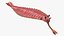 Pink Opabinia