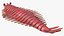 Pink Opabinia