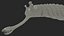 Pink Opabinia