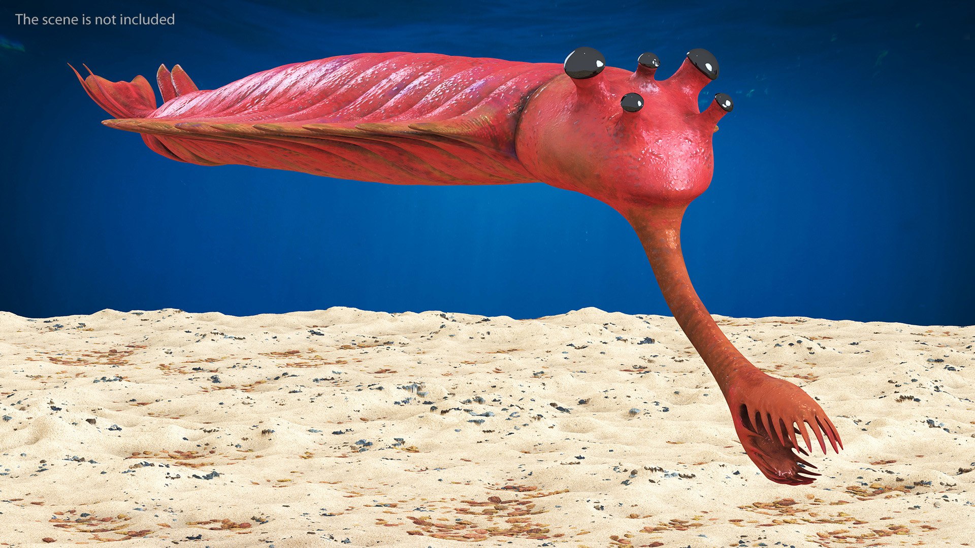 3D Pink Opabinia https://p.turbosquid.com/ts-thumb/3S/cbKx0g/yy/pinkopabiniavray3dmodel003/jpg/1705376960/1920x1080/fit_q87/61e41646f1904398079439e3fdb8ce3756cbe2f0/pinkopabiniavray3dmodel003.jpg