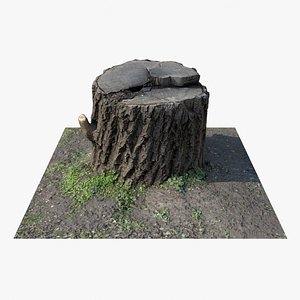 Tree Stump PBR Scan Retopo - 02