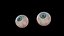Realistisches menschliches Auge Fotorealistisches Modell Augapfel