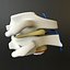 Vertebrae C1+C2