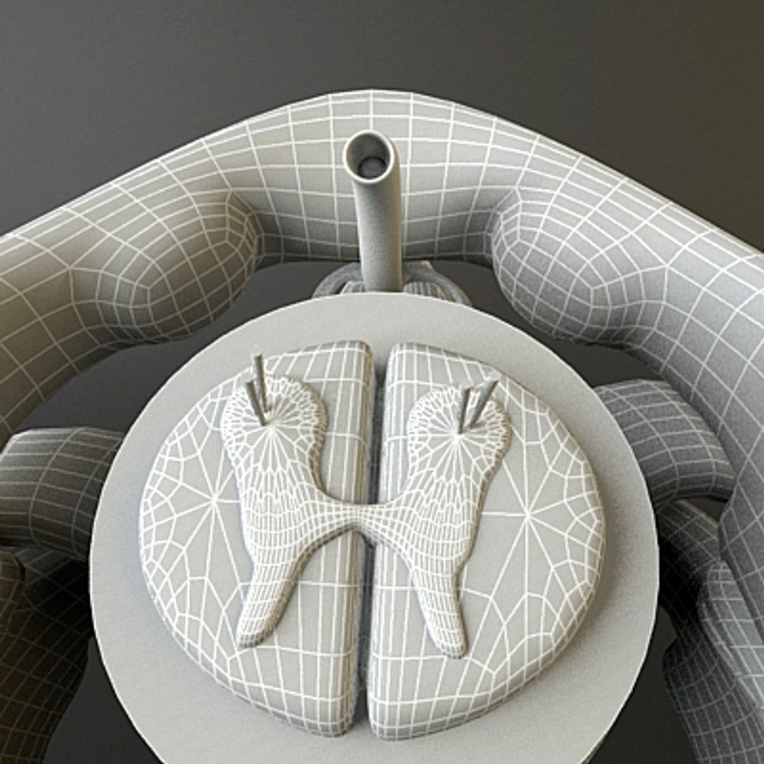 3ds max c1 c2 vertebrae https://p.turbosquid.com/ts-thumb/3S/vP6tmO/Tz8ADxYq/render14/jpg/1286063893/1920x1080/fit_q87/7b625536d695ba7edc5336b209c5729c6dcf2c79/render14.jpg