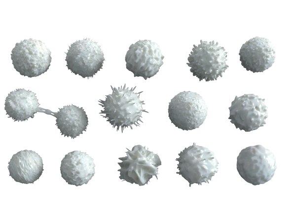 3D model lymphocytes pack