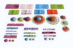 3D flower garden pack model
