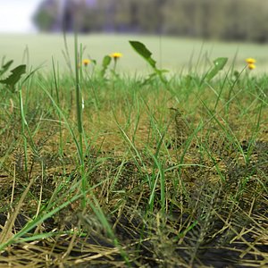 pbr bloodwort meadow patch model