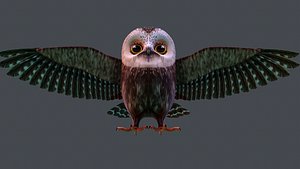 Owl
