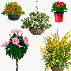 3D Blooming Flowers in Pot Collection 3