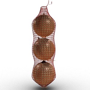 onions net 3D model